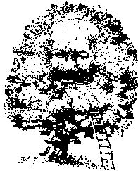 karlmarx_sw