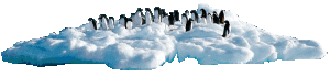 pinguine